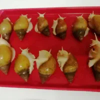 حلزون های درمانی