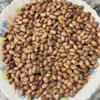 لوبیای چیتی