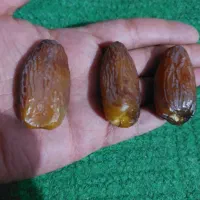 خرما مجول تازه درجه یک