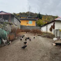 فروش-زمین-مسکونی-در-تالش-روستای-ریک