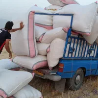 دامداران نگران نباشد من باشما هستم با بهترین کاه|خدمات باغبانی و درختکاری|دهدشت, |دیوار