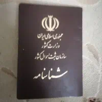 شناسنامه گم شده به نام مسعود