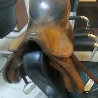 زین اشتوبن پرشی و مناسب گشت