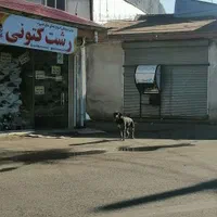فروش مغازه ۱۸ متری در شهدا|فروش مغازه و غرفه|رشت, تازه آباد|دیوار
