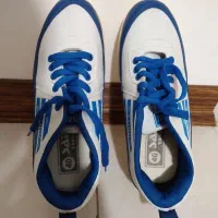 کتونی|کیف، کفش، کمربند|اراک, |دیوار