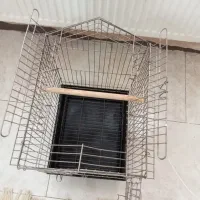 قفس طوطی و عروس هلندی|لوازم جانبی حیوانات|شهریار, شهریار|دیوار