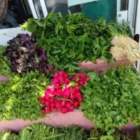 نیرو برای سبزی فروشی