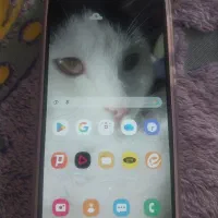 گوشی A10global|موبایل|شاهرود, |دیوار