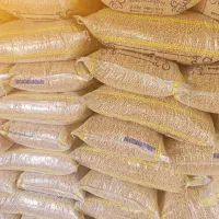 نخود گکسو درجه یک بذری