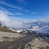 دستیار و مدیر اجرایی خانم با قابلیت سفر و ماموریت