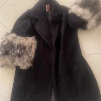 پالتو نو و تمیز