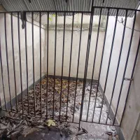 فروش یا معاوضه مغازه بر اصلی مهرگان|فروش مغازه و غرفه|لاهیجان, مهرگان|دیوار