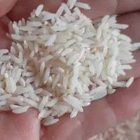 برنج طارم هاشمی اعلاء دابو