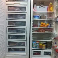 یخچال دو قلو یخ ساران