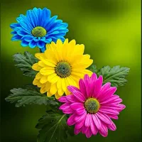 کارویژه بانواون ودانشجویان