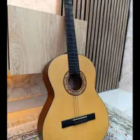 گیتار پارسی مدل m2