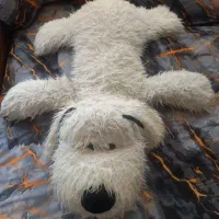 عروسک سایز بزرگ کاملا سالم|اسباب‌بازی بچه|اسلام‌شهر, شهرک سالور|دیوار