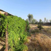 فروش دامداری مجهز و فعال در ابوزیدآباد با امکانات|فروش دفتر صنعتی، کشاورزی، تجاری|کویرات, |دیوار