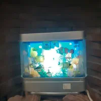 وسایل|کلکسیون و سرگرمی|بیرجند, |دیوار