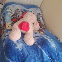 تخت نوجوان سفید