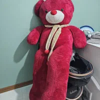 خرس بزرگ ۲ متری