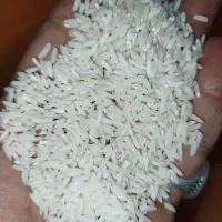 برنج طارم اصل