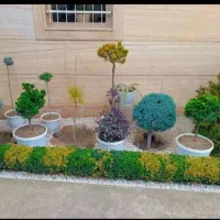 خدمات باغبانی کاشت گل درختکاری تعویض خاک گلدون|خدمات باغبانی و درختکاری|چهاردانگه (تهران), |دیوار