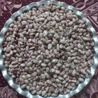 لوبیا چیتی|خوردنی و آشامیدنی|سراب, |دیوار