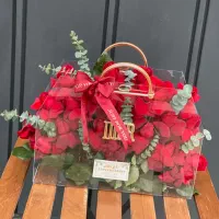 باکس گل پلکسی