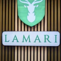 لوازم یدکی خودروهای چینی