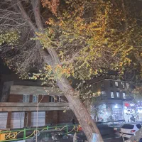 مغازه ۳۰ متری جهت موتور سازی