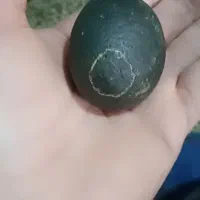 فروش تعدادی شهاب سنگ|کلکسیون اشیاء عتیقه|خوی, |دیوار