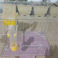 قفس پرنده