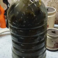 ترد و خوش طعم و خونگی