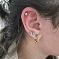 پیرسینگ و میکرودرمال تخصصی