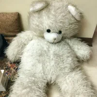 عروسک خرس