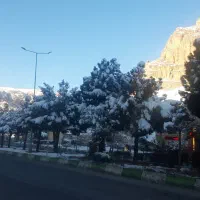 رهن و اجاره یا فروش