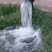 باغ میوه وآب