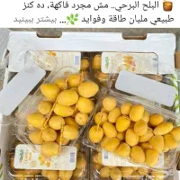 خرما و خارک درجه یک آبادان|خوردنی و آشامیدنی|تهران, مرزداران|دیوار