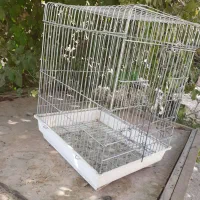 قفس عروسی هلندی|لوازم جانبی حیوانات|قرچک, پویینک|دیوار