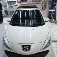 ۲۰۷ پانا مدل ۱۴۰۳ کارکرد ۳۳ هزار