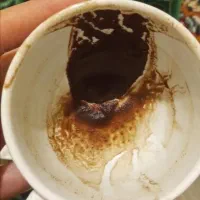 فال تاروت قهوه