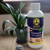 روغن ولک وبردو|خدمات باغبانی و درختکاری|تبریز, |دیوار