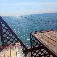 بندر عباس هم سفر