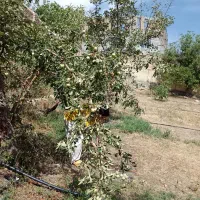 استخدام سرایدار برای ویلا در فیروزکوه