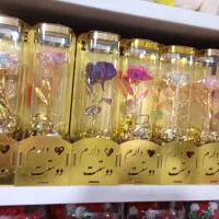 بدلیجات وشفاف|ریسه و چراغ تزئینی|ساری, |دیوار