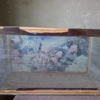 آکواریوم|لوازم جانبی حیوانات|یزد, |دیوار