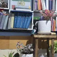 پرنده|پرنده|قم, شهرک امام حسین|دیوار