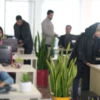 از آموزش تا استخدام،دوره طراحی سایت (عملی با مدرک)