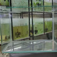 آکواریوم شیشه خم حراج / آکواریوم بهروز